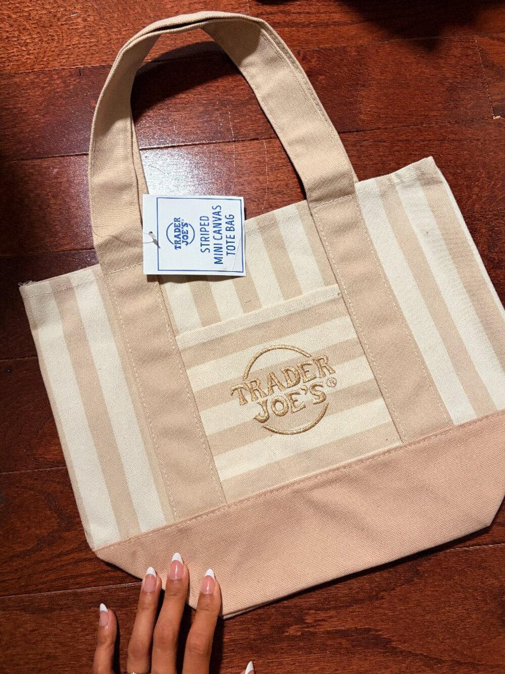 Trader Joe’s Limited Edition Cream/Tan Pastel Mini Canvas Tote Bag Striped - NWT